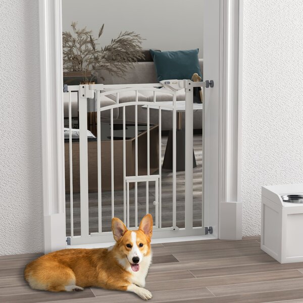 PawHut Cancellino per Cani taglia Piccola e Media con Chiusura Automatica, in Acciaio e PA, 74-80x76 cm, Bianco|Aosom