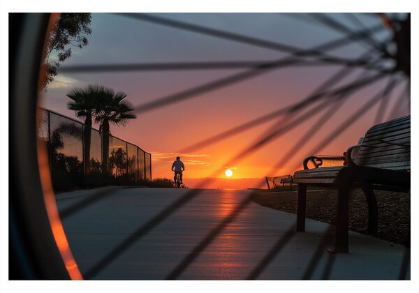 Quadro su tela – Pista ciclabile al tramonto