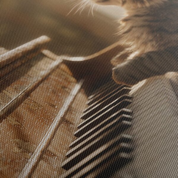 Quadro su tela – Gatto al pianoforte