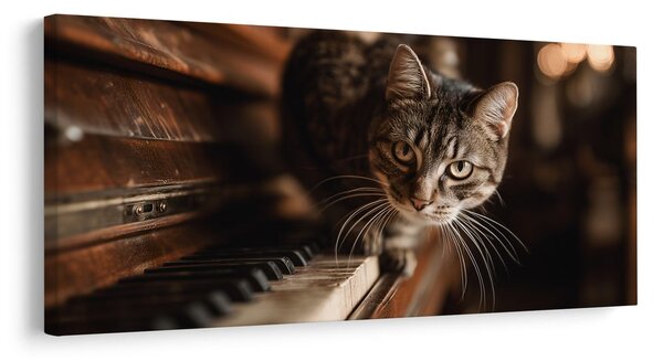 Quadro su tela – Gatto curioso sul pianoforte