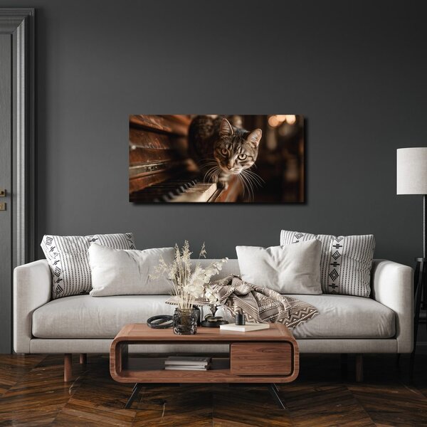 Quadro su tela – Gatto curioso sul pianoforte