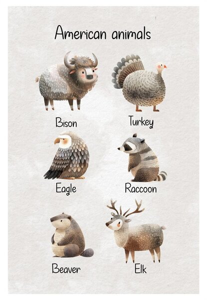 Quadro su tela – Animali americani illustrati