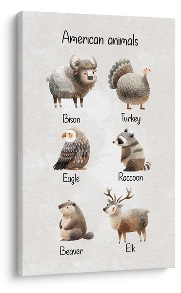Quadro su tela – Animali americani illustrati
