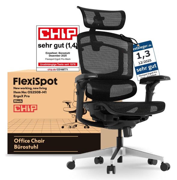FLEXISPOT ErgoX Pro Sedia ergonomica per ufficio regolabile in altezza in 12 posizioni 7D braccioli 5D supporto lombare 4D poggiatesta Capacità di carico 250 kg Sedile in rete Nero