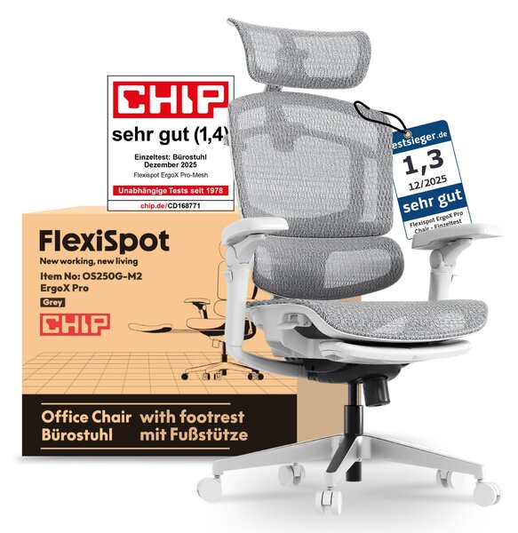 FLEXISPOT ErgoX Pro Sedia da ufficio ergonomica con poggiapiedi regolabile in altezza in 12 posizioni 7D braccioli 5D supporto lombare 4D poggiatesta 250 kg Sedile in rete Grigio