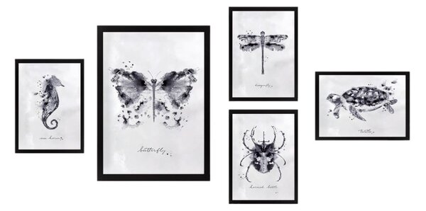 Dipinti in set da 5 pezzi Butterfly - Wallity