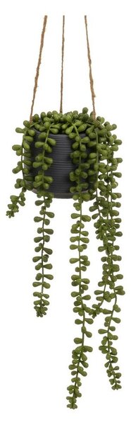 Pianta artificiale (altezza 37 cm) Senecio - Casa Selección