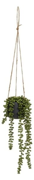 Pianta artificiale (altezza 37 cm) Senecio - Casa Selección