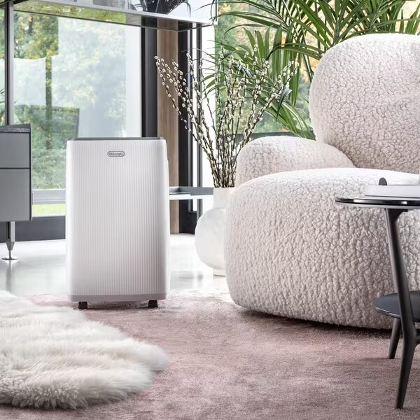 De Longhi Deumidificatore Portatile per la casa muffa 16 Litri In 24 Ore Tanica 4 Litri R290 colore Bianco - DEP216 Tasciugo AriaDry Evo