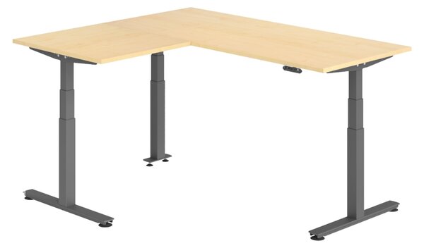 Scrivania angolare bümö regolabile elettricamente in altezza, forma a L - Decorazione: acero, struttura: grafite, dimensioni: scrivania angolare 180 x 160 cm