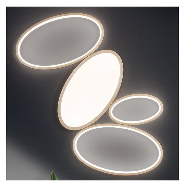 RICE PLAFONIERA GRANDE MODERNA 4 ANELLI LED 35W LUCE 3000K DIMMERABILE METALLO ORO