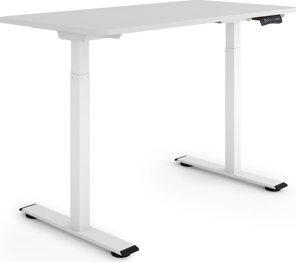 ESMART Germany ERX-122WG 120x60cm Grigio chiaro Scrivania ergonomica sit-stand Regolabile elettricamente in altezza in modo continuo 73,5-122,5 cm 3 x memoria Ricordo attività Doppio motore Montaggio rapido