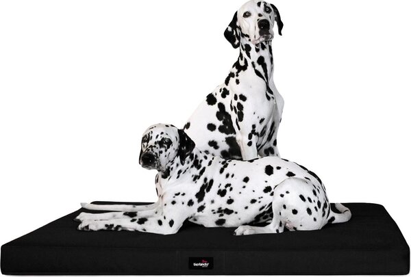 Tierlando® Materasso ortopedico per cani ALICE VISCO Tappeto per cani Letto per cani S - XXL - Dimensioni: 150x100cm | Colore: 03 Nero