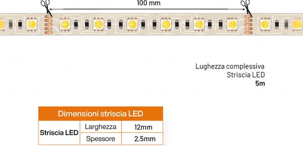 Striscia LED RGBW Multicolore 24V 17W/m Professionale - IP20 - 5 metri
