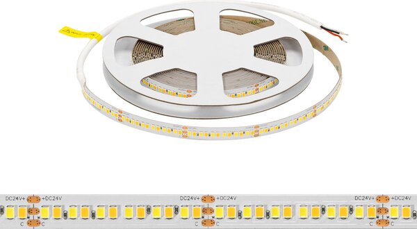 Striscia LED CCT Bianco Variabile 24V 24W/m Professionale - IP20 - 5 metri