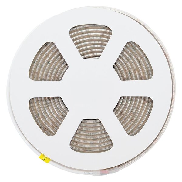 Striscia LED CCT Bianco Variabile 24V 20W/m Professionale - IP67- 5 metri