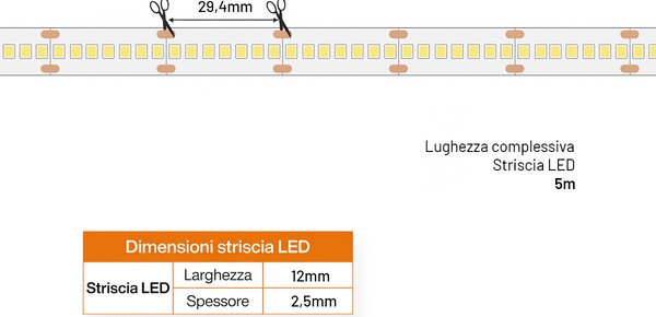 Striscia LED 24V 25W/m Altissima Luminosità Professionale - IP54 - 5 metri