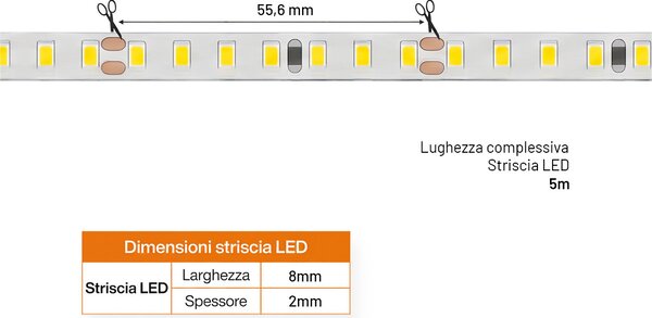 Striscia LED 24V 10W/m Alta Efficienza Professionale - IP20 - 5 metri