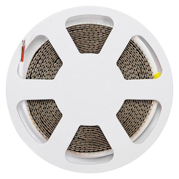 Striscia LED 24V 25W/m Altissima Luminosità Professionale - IP54 - 5 metri