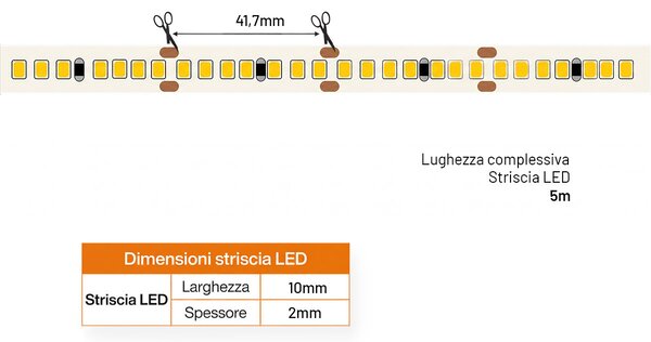 Striscia LED 24V 15W/m Alta Efficienza Professionale - IP20 - 5 metri