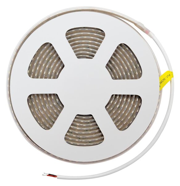 Striscia LED 24V 10W/m Alta Efficienza Professionale - IP67 - 5 metri