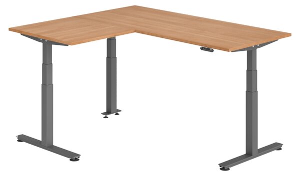 Scrivania angolare bümö regolabile elettricamente in altezza, forma a L - Struttura: grafite, decorazione: noce, dimensioni: scrivania angolare 180 x 160 cm