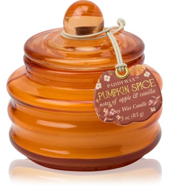 Paddywax Pumpkin Spice candela profumata 58 g