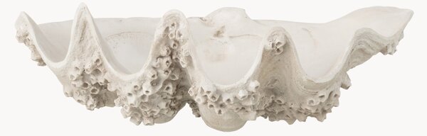 Ciotola decorativa Seashell Seashell