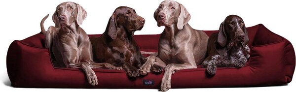 Tierlando® Letto ortopedico per cani GOOFY >> incl. proteggi-materasso