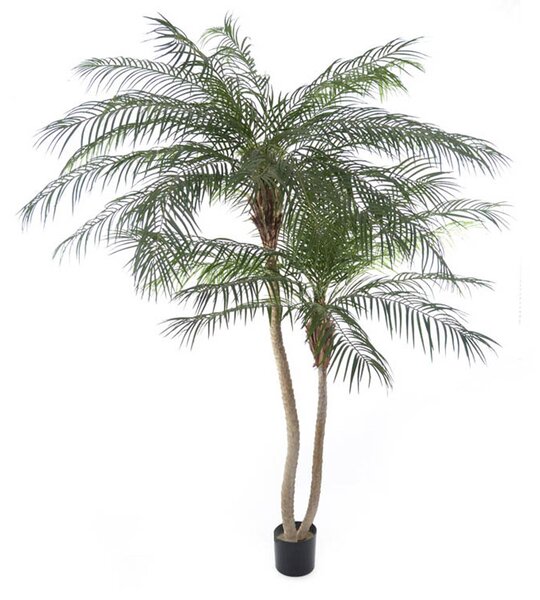Ramo Artificiale Phoenix Palm a 2 Diramazioni con Vaso H 230 cm