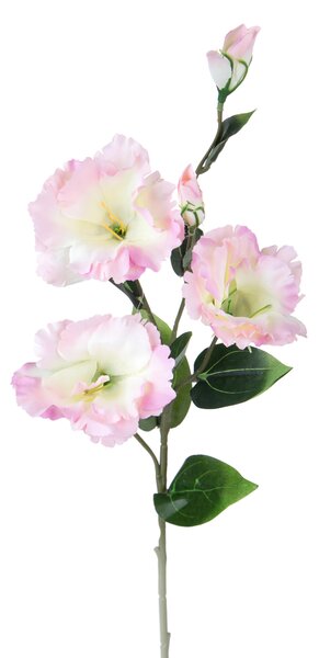 Set 12 Rami Artificiali Lisianthus con 5 Fiori 72 cm