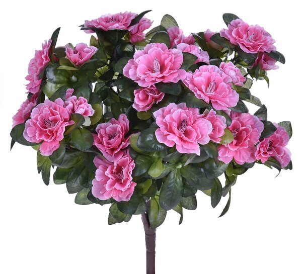 Set 2 Cespugli Azalea Composto da 7 Rami H 38 cm