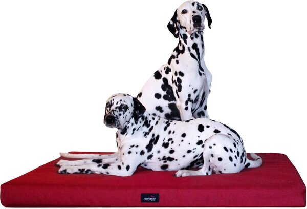 Tierlando® Materasso ortopedico per cani ALICE VISCO Tappeto per cani Letto per cani S - XXL - Dimensioni: 80x60cm | Colore: 04 Rosso scuro