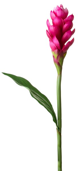 Set 2 Rami Artificiali Ginger 99 cm con Foglia