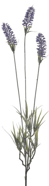 Set 24 Lavanda con 3 Fiori H 62 cm