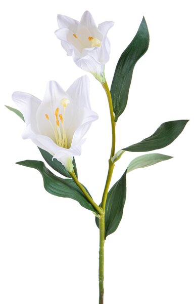 Set 3 Longiflor per 2 94 cm