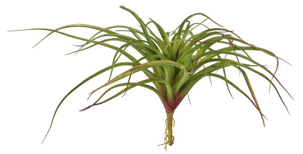 Set 3 Foglie Artificiali Tillandsia Misure 30x40 cm