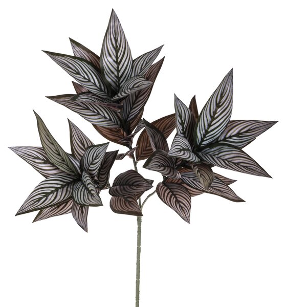 Set 3 Rami Artificiali di Foglia Calathea Composto da 39 Foglie H 70 cm