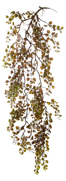 Set 4 Foglie Artificiali Dischidia Cadente 95 cm