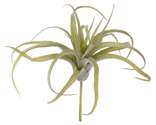 Set 4 Foglie Artificiali Tillandsia per 21 25 cm