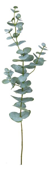 Set 4 Staccionata Eucalipto Rami 75 cm