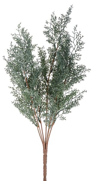 Set 6 Cespugli di Cipressina H 46 cm