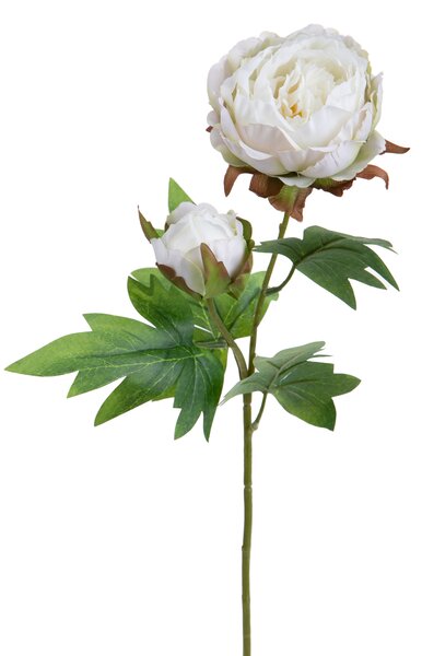 Set 6 Rami Artificiali Peonia per 2 Fiori 60 cm