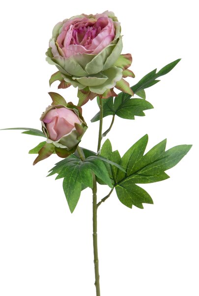 Set 6 Rami Artificiali Peonia per 2 Fiori 60 cm