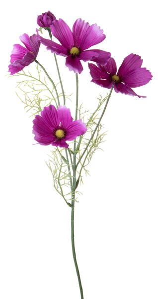 Set 8 Rami Artificiali Cosmos in Fiore per 5 H 68 cm