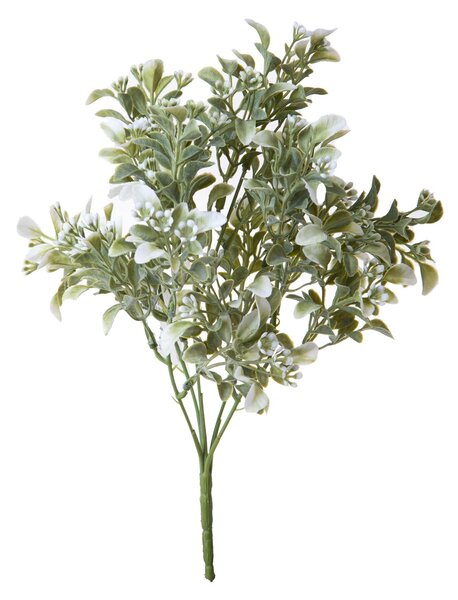 Set 8 Mini Bosso Bush 33 cm