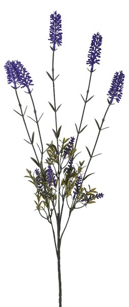 Set 8 Lavanda con 5 Fiori H 79 cm