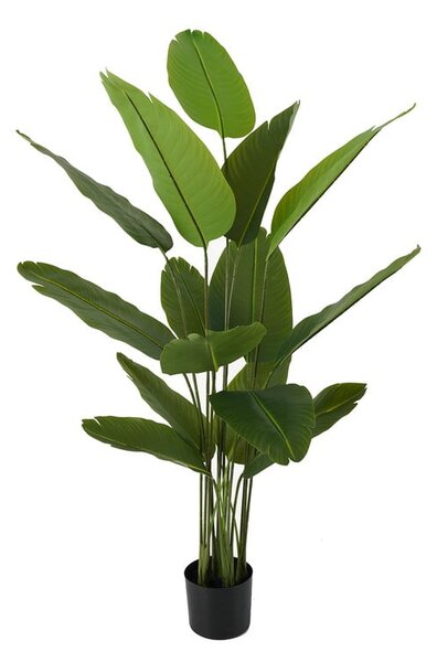 Tiro artificiale (altezza 150 cm) Canna - PT LIVING