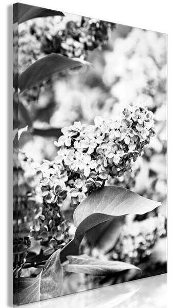 Quadro Monochrome Lilac (1 Part) Vertical