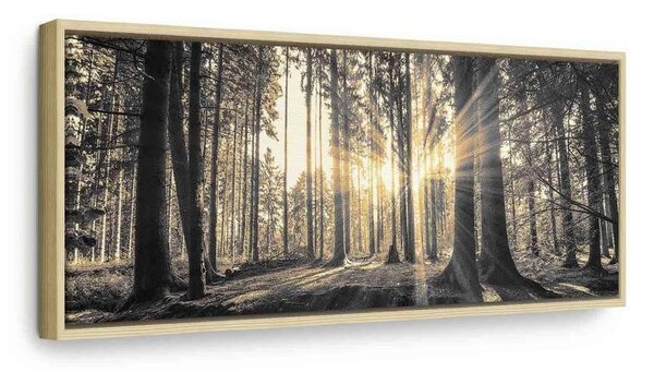 Quadro Il sole del bosco